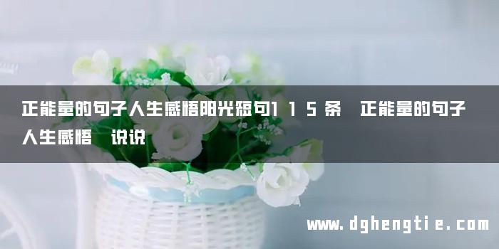 正能量的句子人生感悟阳光短句115条 正能量的句子 人生感悟 说说